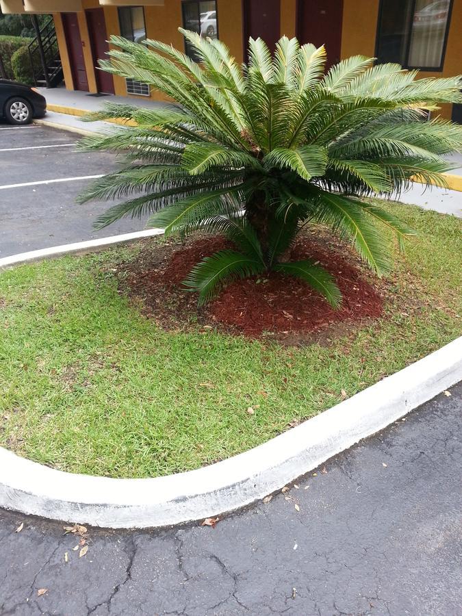 Howard Johnson By Wyndham Tallahassee Kültér fotó